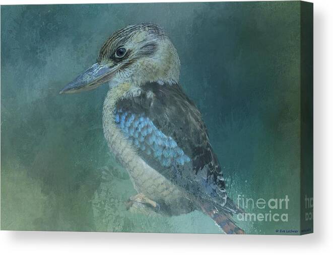 Laughing Kookaburra Canvas Print featuring the photograph Laughing Kookaburra by Eva Lechner