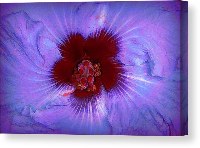 Hibiscus Canvas Print featuring the photograph Lavender Blue Hibiscus by Lori Seaman