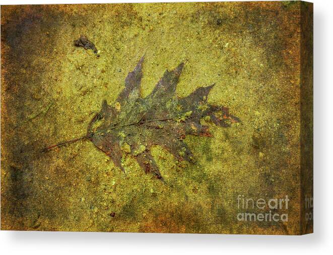 Leaf In Mud Canvas Print featuring the digital art Leaf in Mud Two by Randy Steele