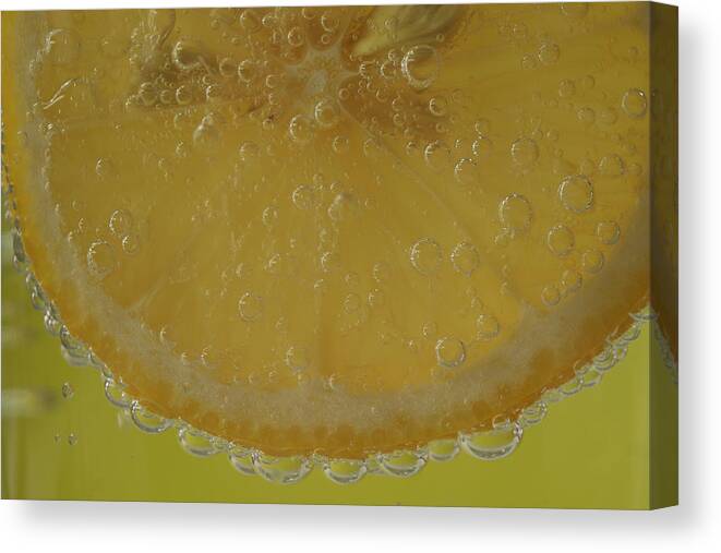 Fruit Canvas Print featuring the photograph Lemon Bubbles by Christine Amstutz