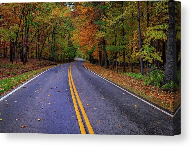 Road Canvas Print featuring the photograph Letchworth Park Road by Rick Berk