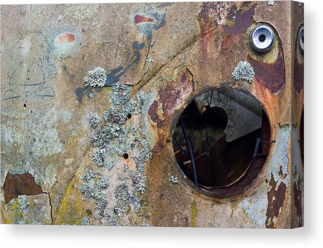 Mount Shasta Canvas Print featuring the photograph Lichen on VW Bus Nose by Richard Kimbrough