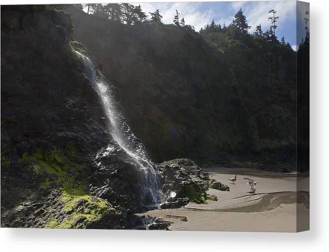 Cascade Canvas Print featuring the photograph Tidal Cascade by John Christopher