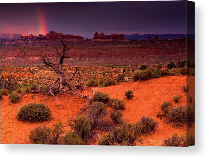 Arches National Park Canvas Print featuring the photograph Light Of The Desert by John De Bord