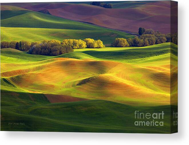 Butte Canvas Print featuring the photograph Light Play by Beve Brown-Clark Photography
