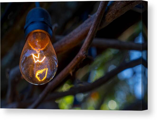 Lightbulb Canvas Print featuring the photograph Lightbulb by Derek Dean