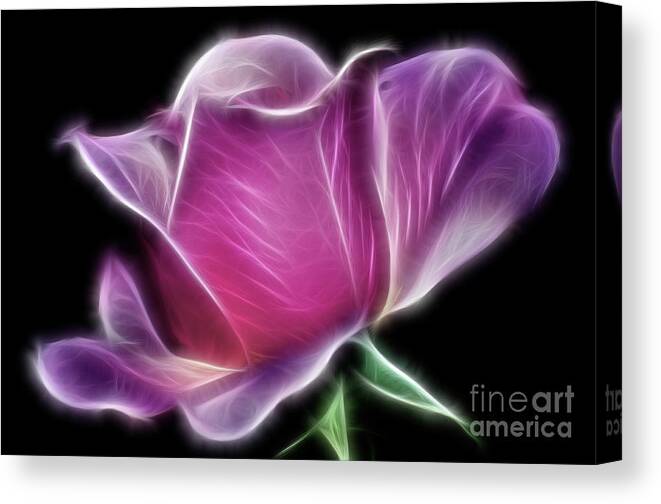 Photography Canvas Print featuring the photograph Lightning Rose by Kaye Menner