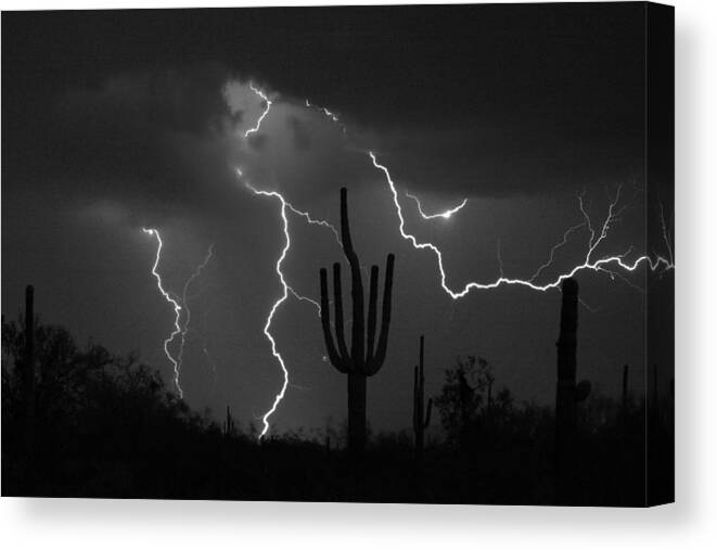 Saguaro Canvas Print featuring the photograph Lightning Storm Saguaro Fine Art BW Photography by James BO Insogna