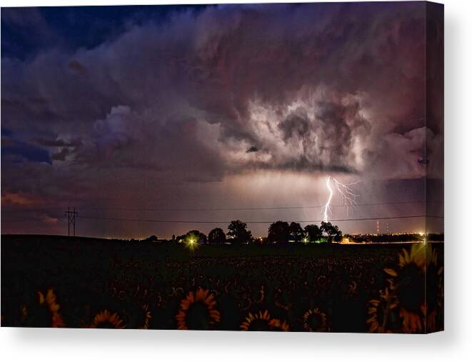 Sunflowers; Fields; Lightning; Lightening; Chasers; Lightning Poster; Lightning Photography; Lightning Gallery; Picture Of Lightning; Lightning Storm Pictures; Lightning Photos Colorado; Pictures Of Storm Clouds And Lightning; Lightning Art; Lightnen Canvas Print featuring the photograph Lightning Stormy Weather of Sunflowers by James BO Insogna