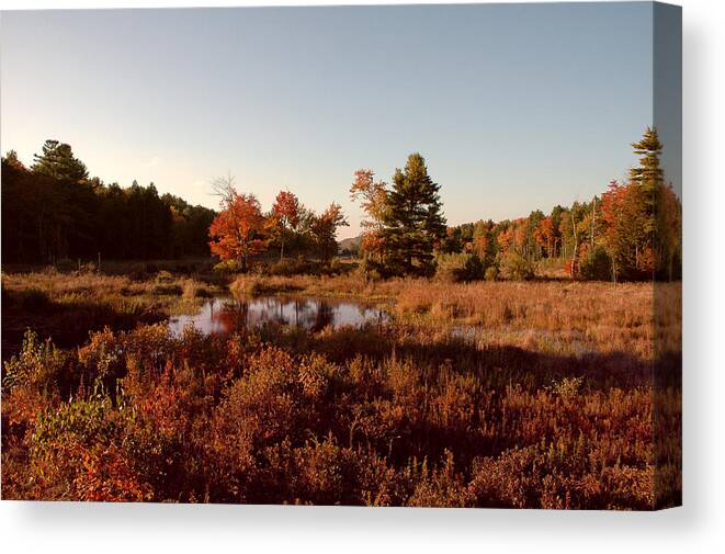 Water Canvas Print featuring the photograph Lil' River by Ross Powell