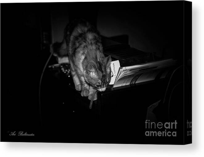Black And White Canvas Print featuring the photograph Lili at night activity by Arik Baltinester
