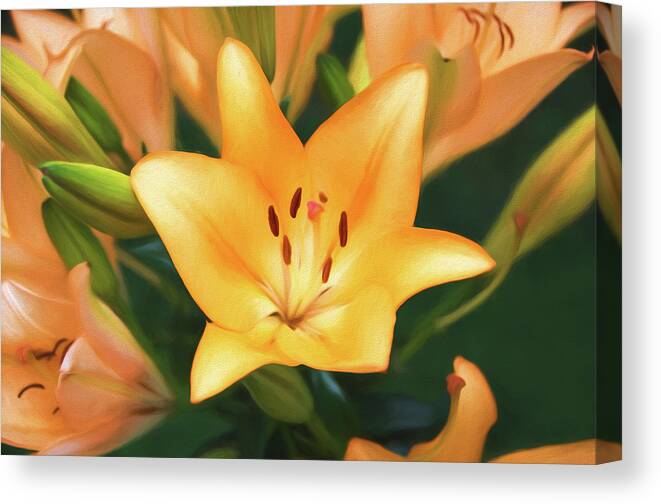 Flowers Canvas Print featuring the photograph Lily by Steven Michael