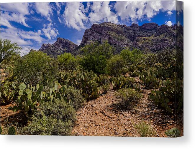 Acrylic Prints Canvas Print featuring the photograph Linda Vista No26 by Mark Myhaver