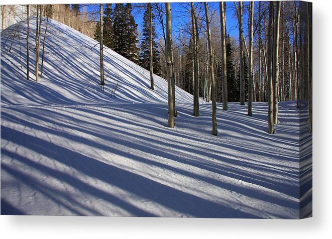 Lines Canvas Print featuring the photograph Lines And Shadows by Gene Praag