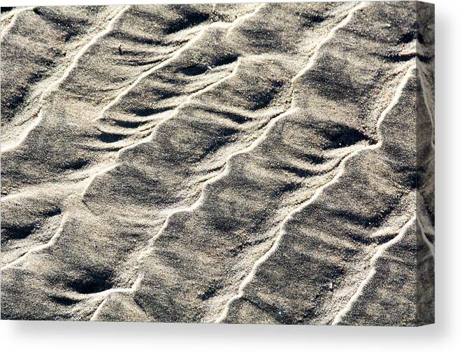 Beach Canvas Print featuring the photograph Lines on the Beach by David Shuler