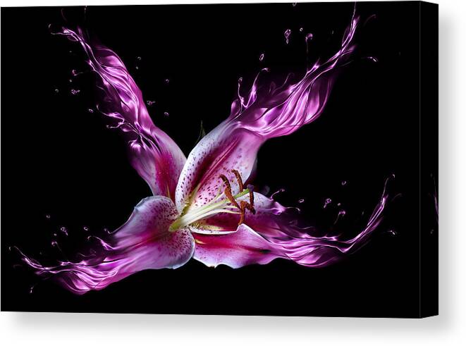 Flower Canvas Print featuring the photograph Liquid Lily by Lori Hutchison