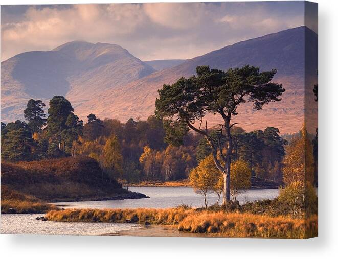 Scotland Canvas Print featuring the photograph Loch Tulla in Autumn by John McKinlay