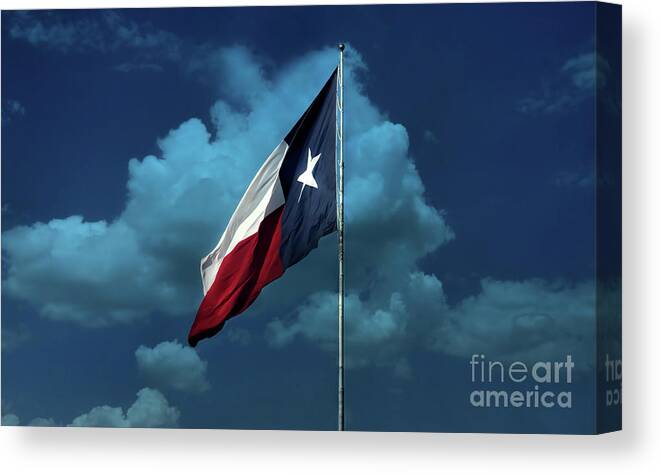 Flag Canvas Print featuring the photograph Lone Star by Joan Bertucci