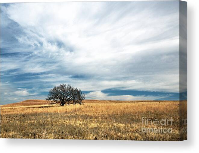  Canvas Print featuring the photograph Late Autumn in the Flint Hills by Jean Hutchison
