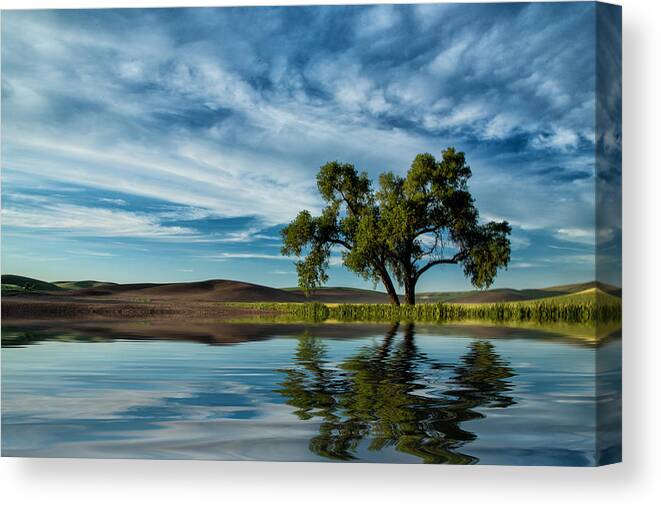 Lone Tree Canvas Print featuring the photograph Lone tree pond reflection by Bob Cournoyer