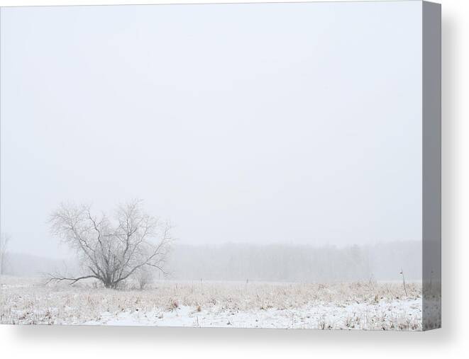 Winter Canvas Print featuring the photograph Lonely by Monroe Payne