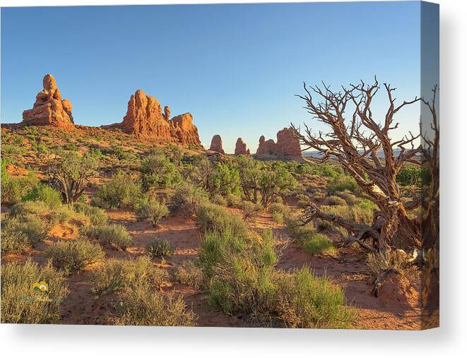Arches National Park Canvas Print featuring the photograph Long Evening Shadows by Jim Thompson