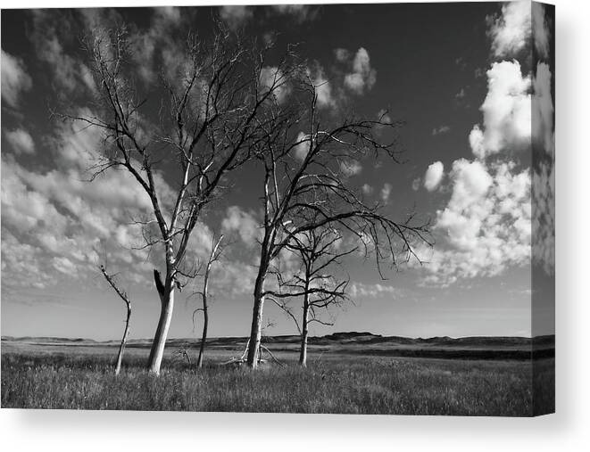 Canada Canvas Print featuring the photograph Long Since Black and White by Allan Van Gasbeck