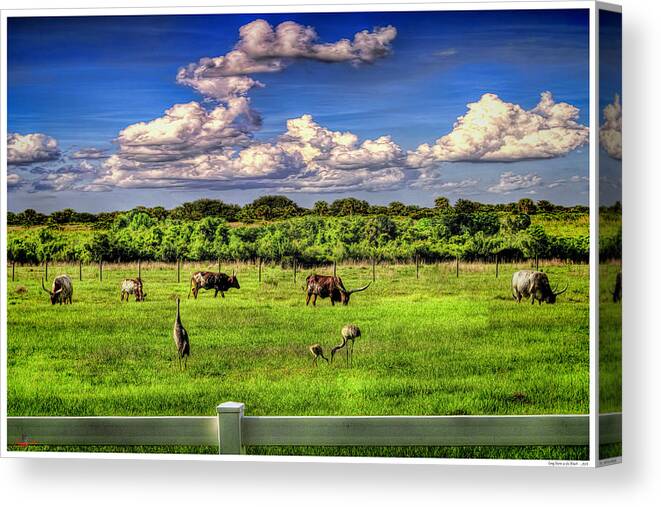 Florida Canvas Print featuring the mixed media Longhorns at the Ranch by Rogermike Wilson