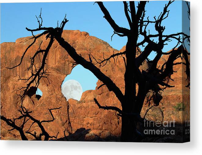 Utah Landscape Canvas Print featuring the photograph Look Though my Window by Jim Garrison