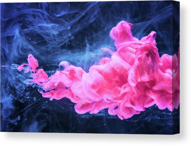 Abstract Canvas Print featuring the photograph Looking For Fun - Modern Art Photography by Modern Abstract