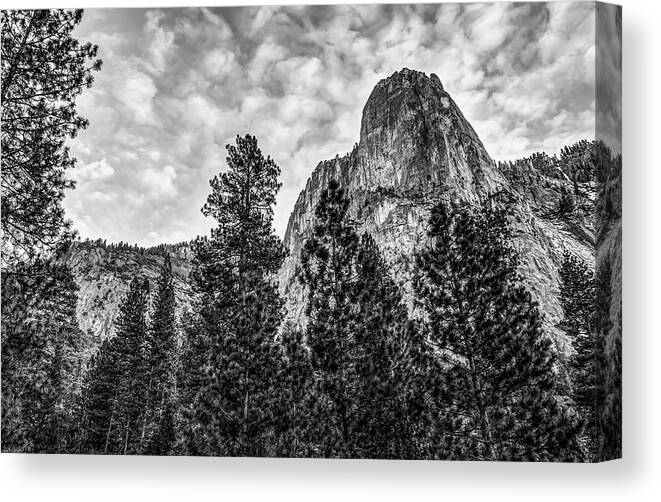 Yosemite National Park Canvas Print featuring the photograph Looking Up at Yosemite National Park - Black and White by Gregory Ballos