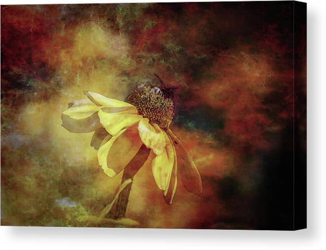 Lost Canvas Print featuring the photograph Lost Gathering Gold Digital Painting 2952 DP_2 by Steven Ward