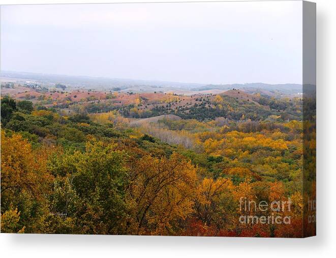 Fall Canvas Print featuring the photograph Lost in Autumn by Yumi Johnson