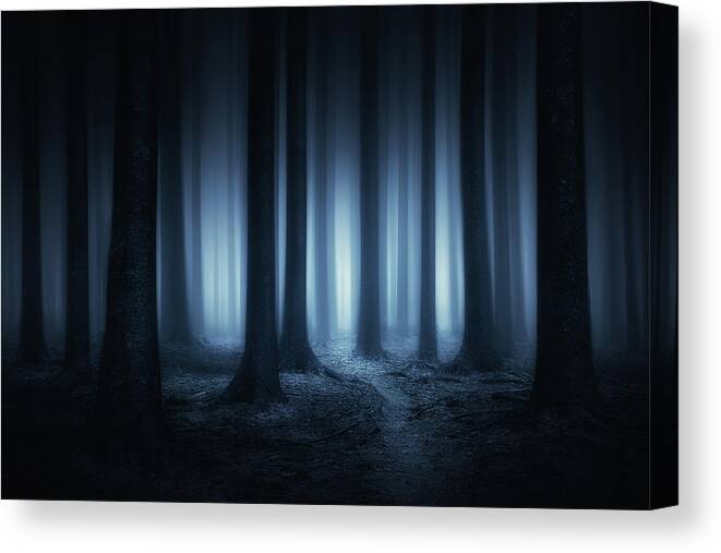 Scary Canvas Print featuring the photograph Lost in the forest by Mikel Martinez de Osaba