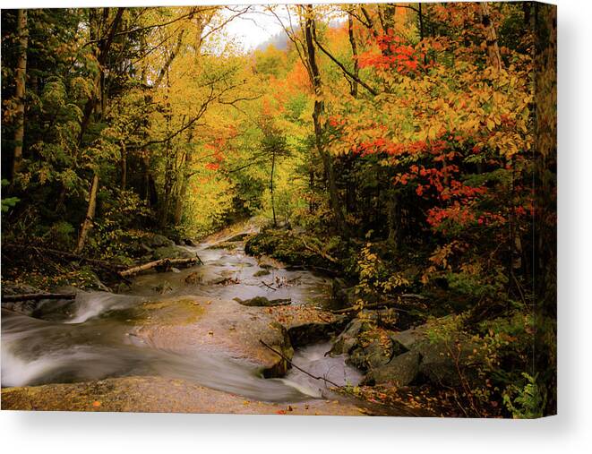 #jefffolger Canvas Print featuring the photograph Lost River Fall Colors by Jeff Folger