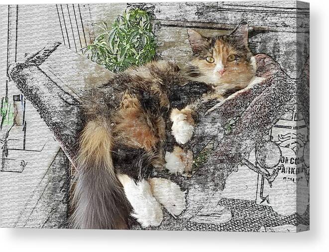 Cat Canvas Print featuring the digital art Lounging Polydactyl by Deb Nakano