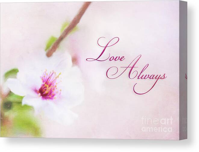 Love Canvas Print featuring the photograph Love Always by Anita Pollak