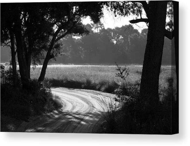 Charleston Canvas Print featuring the photograph Low Country Road by Donnie Whitaker