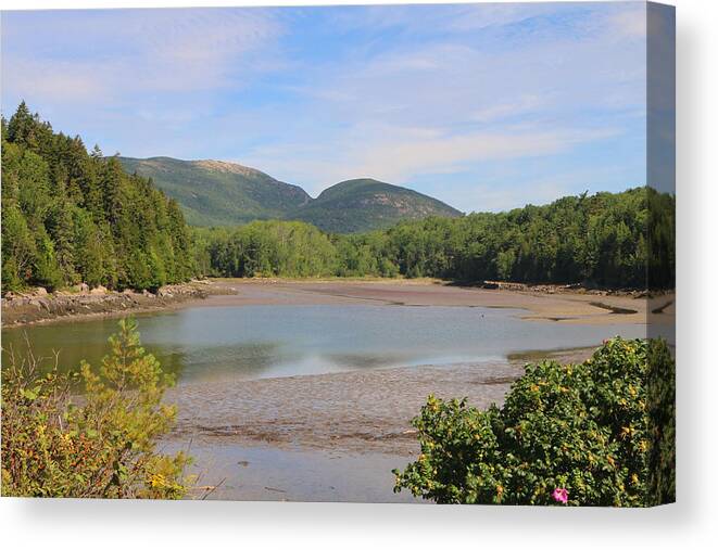 Acadia National Park Canvas Print featuring the photograph Low Tide 2 In Acadia by Living Color Photography Lorraine Lynch