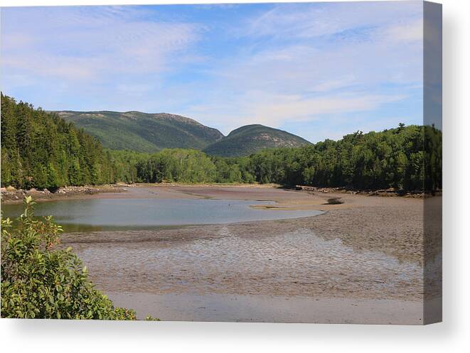 Acadia National Park Canvas Print featuring the photograph Low Tide in Acadia by Living Color Photography Lorraine Lynch