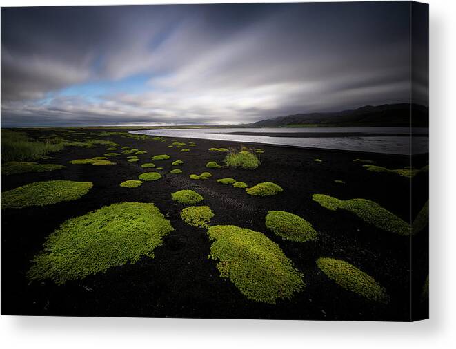Iceland Canvas Print featuring the photograph Lunar Moss by Dominique Dubied