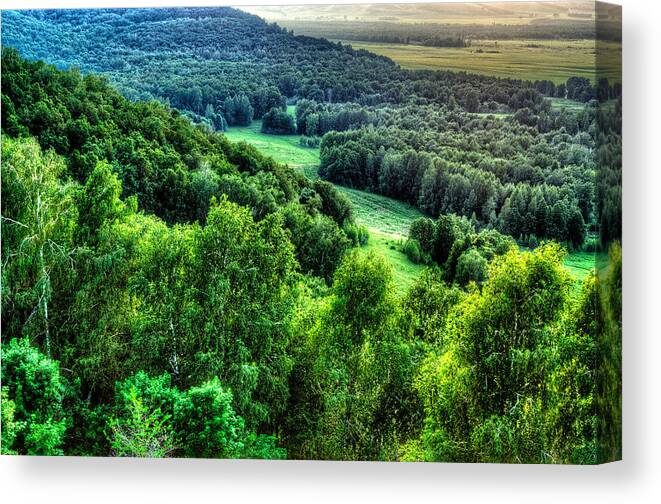 Above Canvas Print featuring the photograph Lush Green Forest by John Williams
