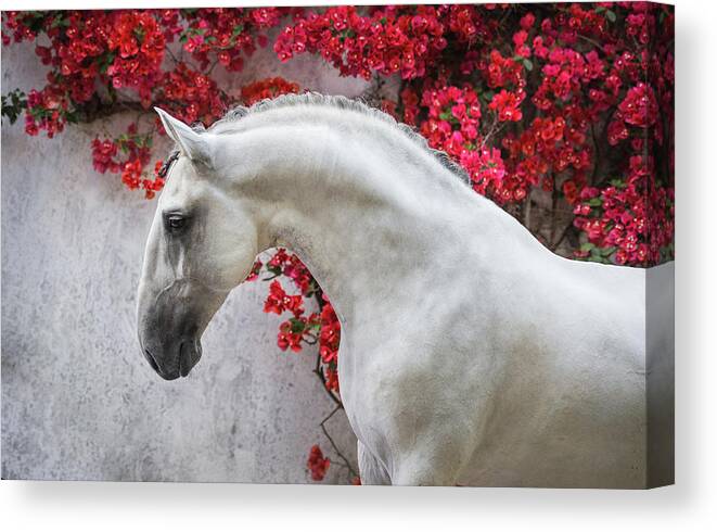 Russian Artists New Wave Canvas Print featuring the photograph Lusitano Portrait in Red Flowers by Ekaterina Druz