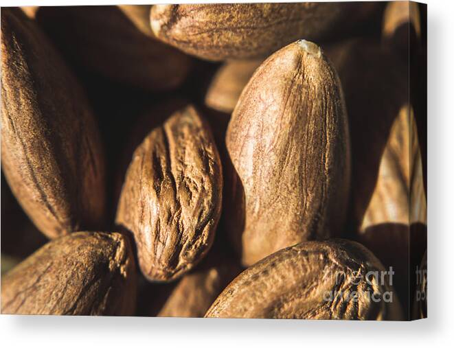Almonds Canvas Print featuring the photograph Macro Almonds by Jorgo Photography