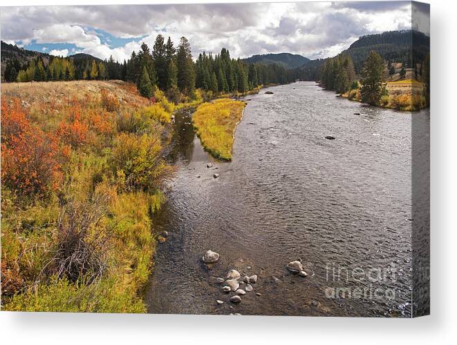 Madison River Canvas Print featuring the photograph Madison River by Cindy Murphy - NightVisions