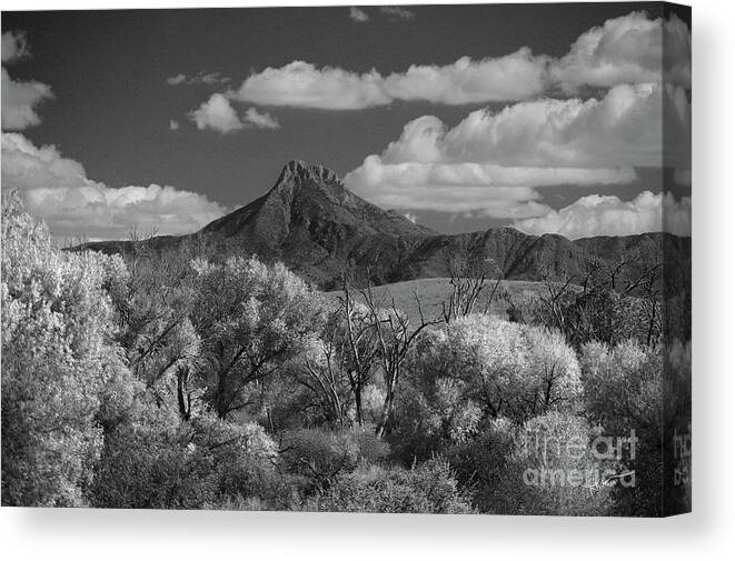 Photography Canvas Print featuring the photograph Majestic Peak by Vicki Pelham