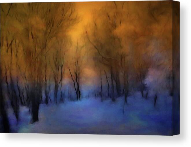 Magic Forest Canvas Print featuring the photograph Magic Forest by Andrea Kollo