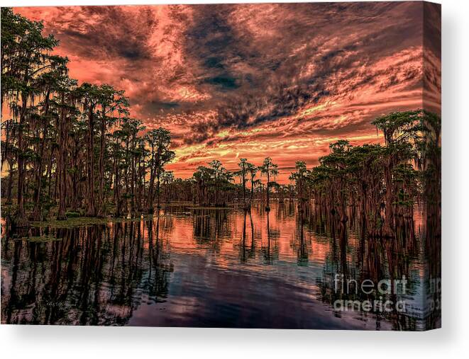 Sunsets Canvas Print featuring the photograph Majestic Cypress Paradise Sunset by DB Hayes