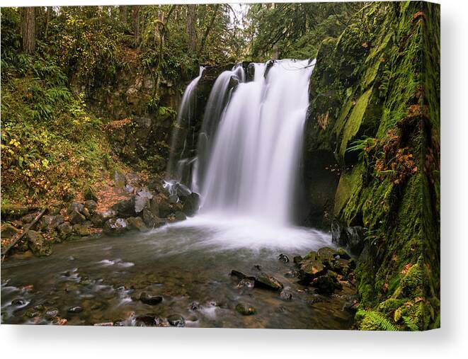 Autumn Canvas Print featuring the photograph Majestic Falls by Catherine Avilez