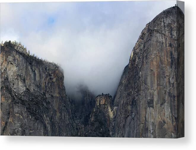  Canvas Print featuring the photograph Majestic Nature by Alexz Hernandez